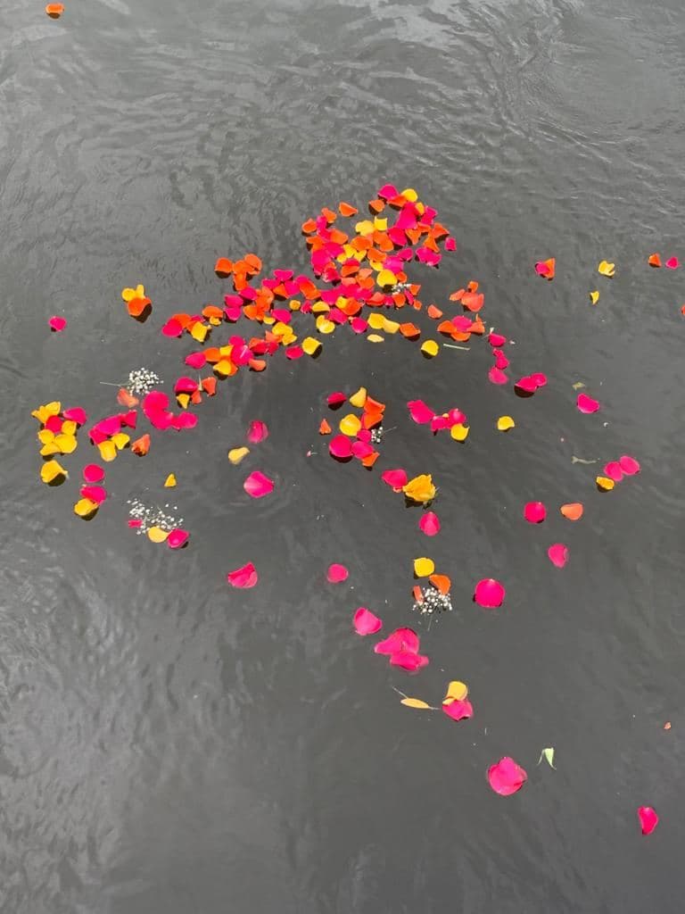 Flower petals scattered on the surface of the Avon